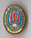 Distintivo EI Corso VFP